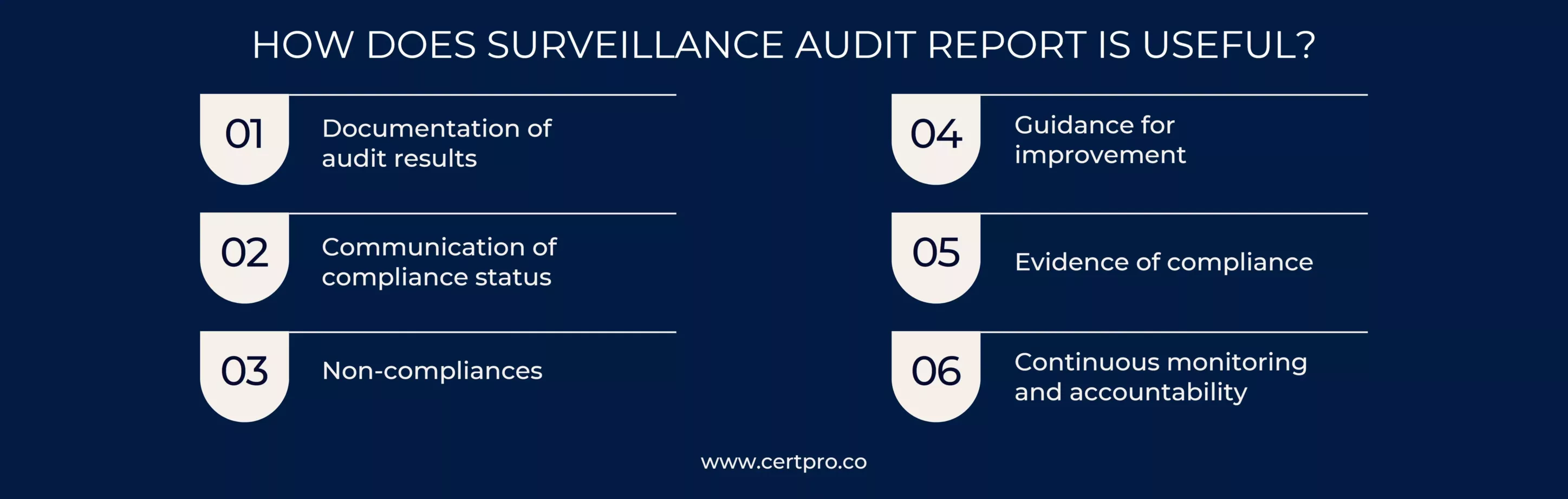 HOW DOES SURVEILLANCE AUDIT REPORT IS USEFUL
