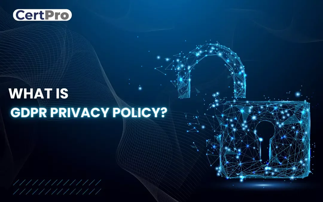 WHAT IS GDPR PRIVACY POLICY?