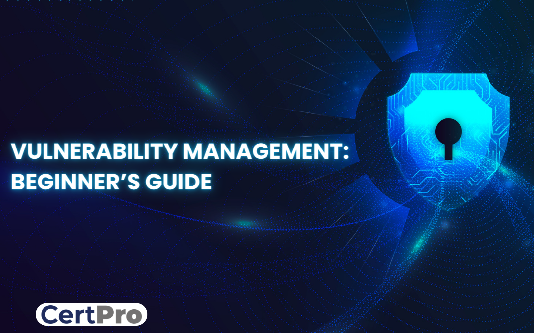 VULNERABILITY MANAGEMENT: THE COMPREHENSIVE BEGINNER’S GUIDE