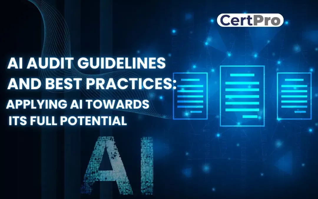 AI Audit Guidelines and Best Practices