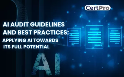 AI Audit Guidelines and Best Practices: Applying AI Towards Its Full Potential